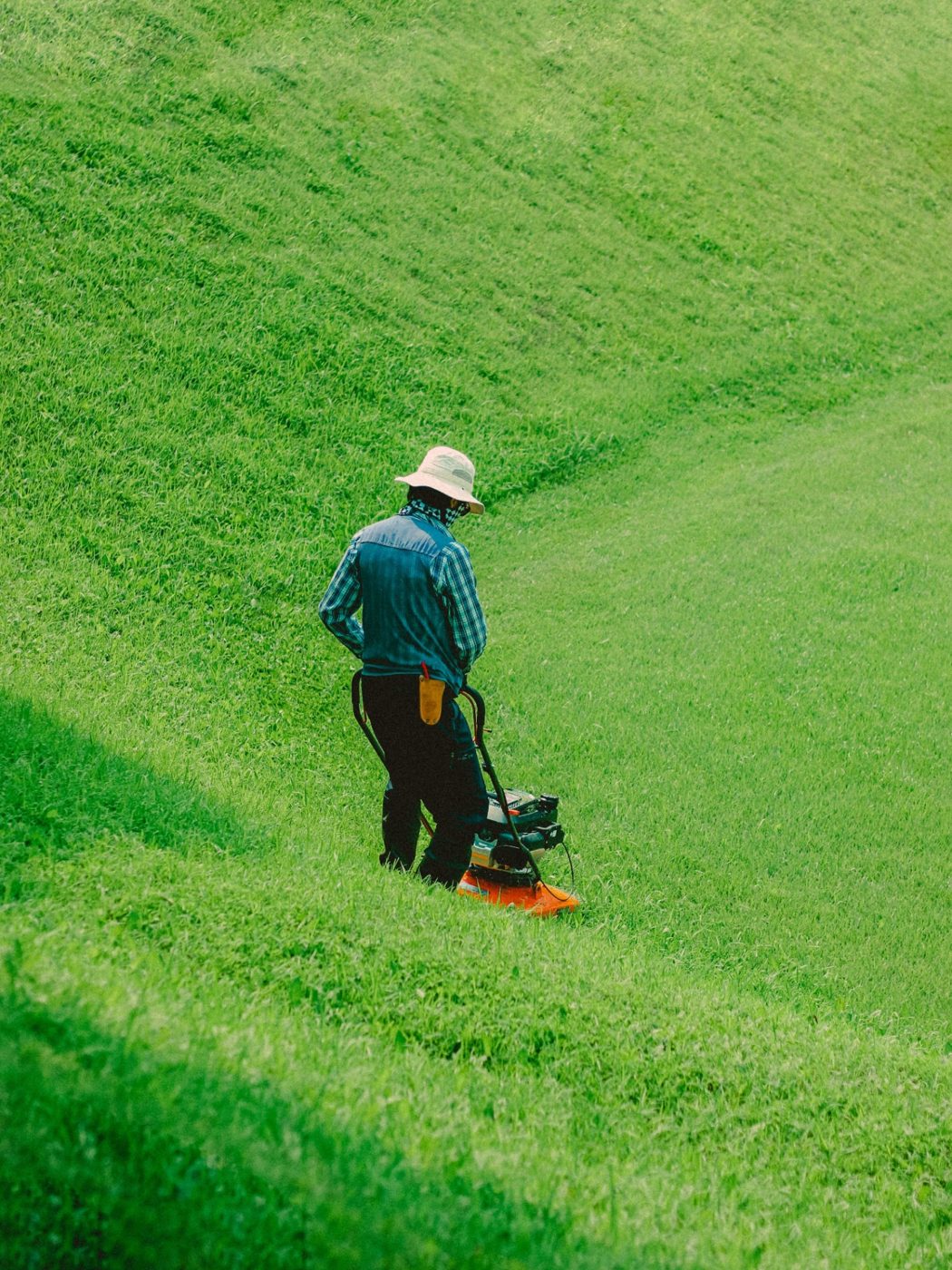 A gardener mowing a sloped lawn